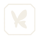 VDM butterfly